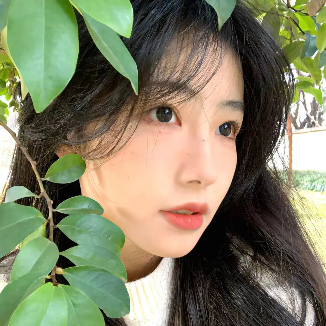 被争论的女人